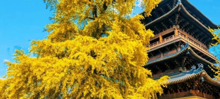 Zion·城市甄选丨高空城景丨有温度的酒店(桐乡市区庆丰南路店)图片