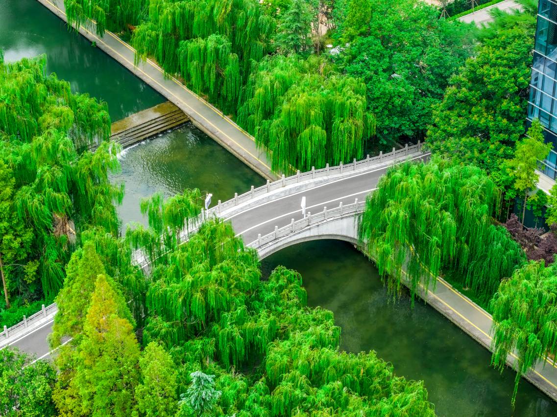 洛阳国际大酒店图片