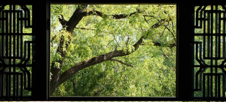 郁孤台畔·拾叁间民宿(江南宋城郁孤台店)图片