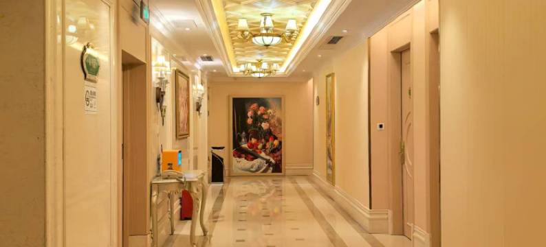 维也纳酒店(深圳龙珠店)图片