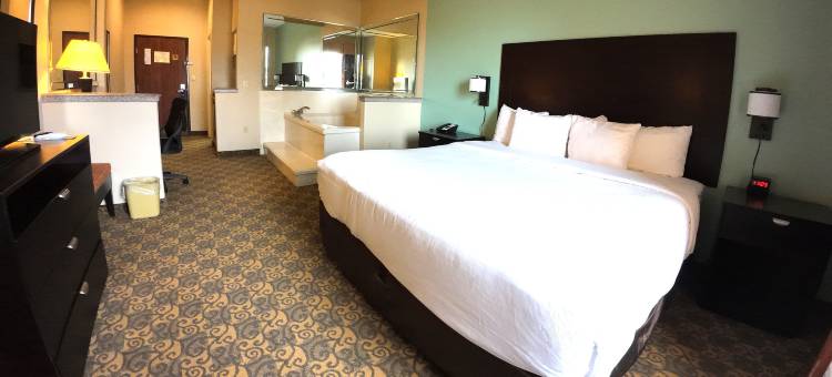 韦斯特彻斯-休斯顿能源走廊舒适套房酒店(Comfort Suites Westchase Houston Energy Corridor)图片