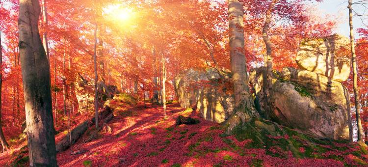 镇江·宜程｜Modern·CinemaDesigner酒店(大市口苏宁广场店)图片