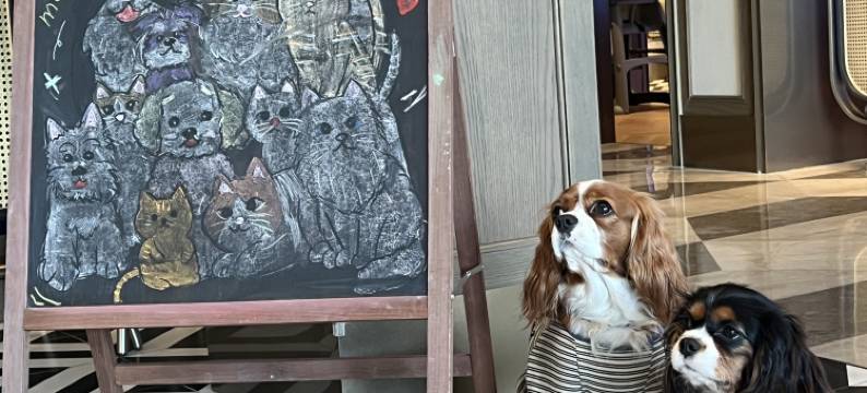 扬州东关街漫心酒店图片