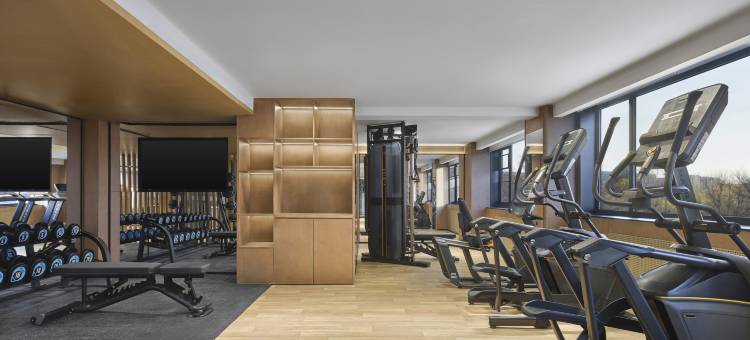 北京首都机场万豪万枫酒店(新国展店)图片