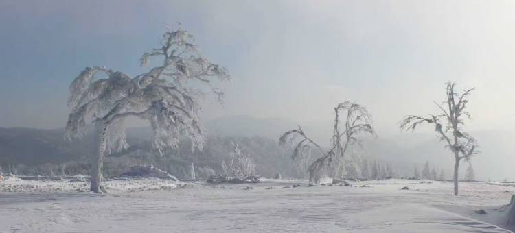 望山度假大酒店(亚布力滑雪场店)图片