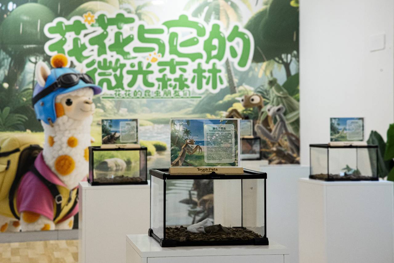 三亚亚龙湾星华套房假日酒店图片