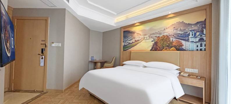 维也纳酒店(常州青枫公园店)图片