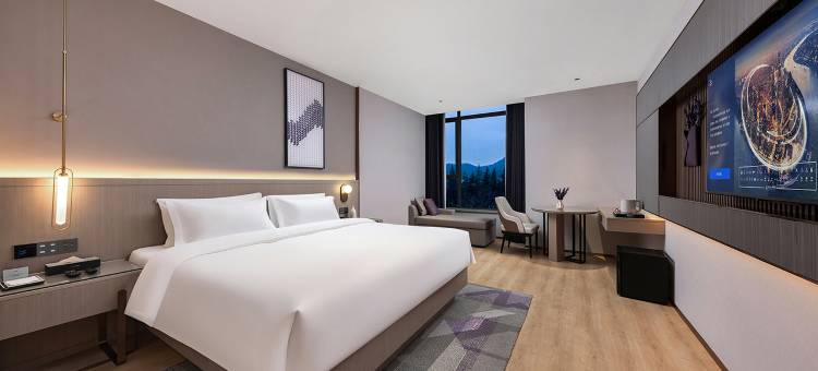 麗枫酒店(商洛市政府万达广场店)图片