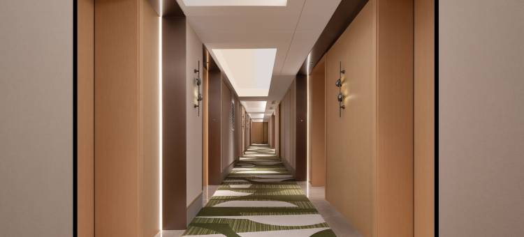 深圳罗湖口岸希尔顿花园酒店图片