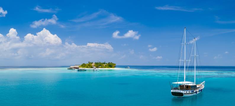 马尔代夫美憬阁米里希V别墅(V Villas Maldives at Mirihi - MGallery Collection)图片