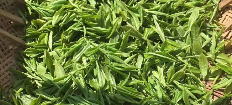 秋兮·aki星空温泉民宿(安吉云上草原店)图片