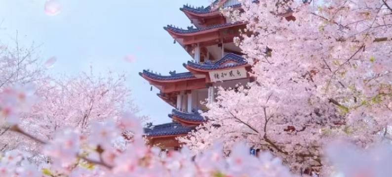 美景精品酒店(天峨店)图片