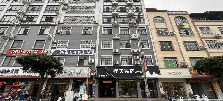 天峨桂美民宿(蓝刀鱼唐英码头店)图片