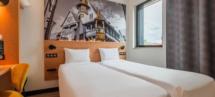 科尔玛展览中心B&B酒店(B&B HOTEL Colmar Expo)图片