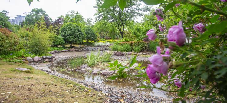 都市花园酒店(洛阳涧西区国家大学科技园店)图片