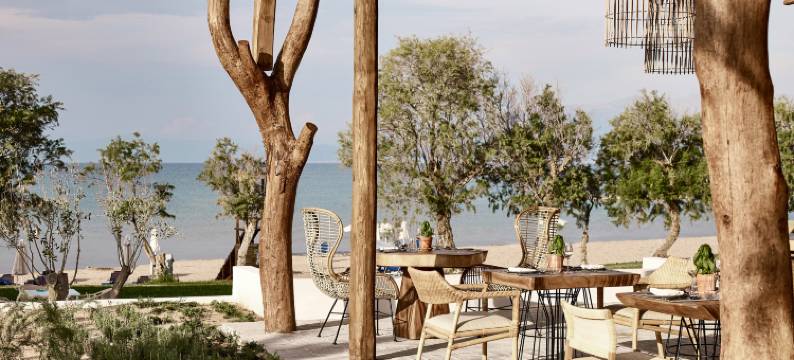 玛隆格雷科泰尔酒店 - 全包式度假村(Grecotel Casa Marron)图片
