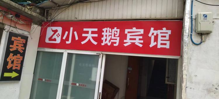 Z+小天鹅宾馆图片