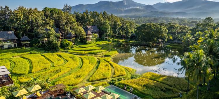清迈四季度假酒店(Four Seasons Resort Chiang Mai)图片