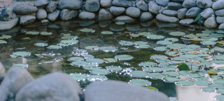 西安山屿晚风·ins设计师轻奢度假美宿图片