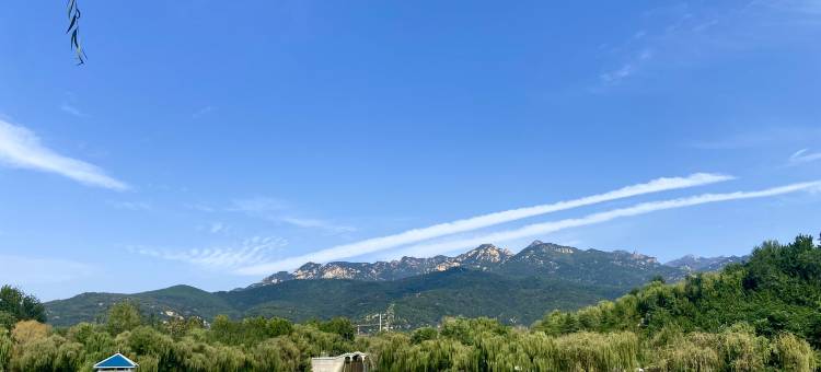 泰安墨玉瓷悦艺术酒店(泰山桃花峪登山口店)图片