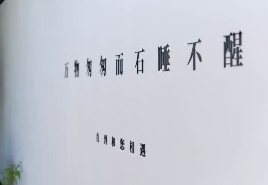 Shiweiyu Yuhua Pebble Hotel Hotel Overview