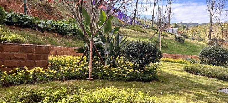 剑门关雄关悠谷度假酒店(景区南门店)图片