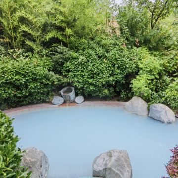 甘肃天水+麦积山石窟+麦积山温泉2日1晚私家团