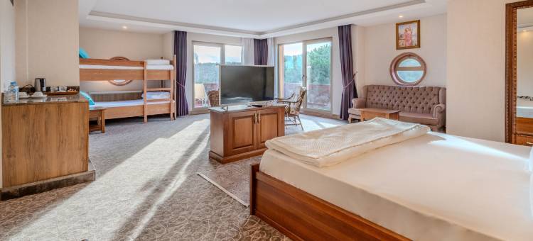 海伦特洛伊酒店盖伊克利(Helen Troya Hotel Geyikli)图片