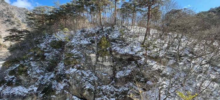 日光花园酒店(Nikko Garden Hotel)图片