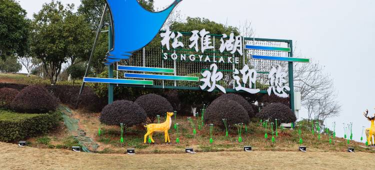 长沙世景广场智选假日酒店(星沙经济开发区店)图片