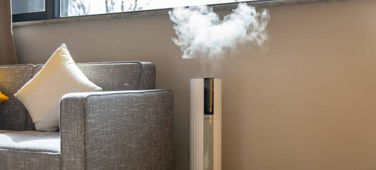 如家精选酒店(拉萨布达拉宫店)图片