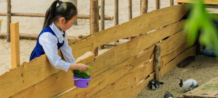 花筑·野三坡拾光山舍(龙门天关景区店)图片