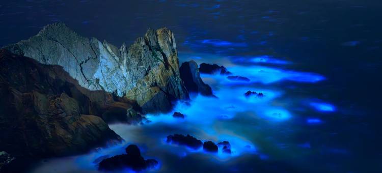 平潭岚庭玥舍(龙王头沙滩店)图片