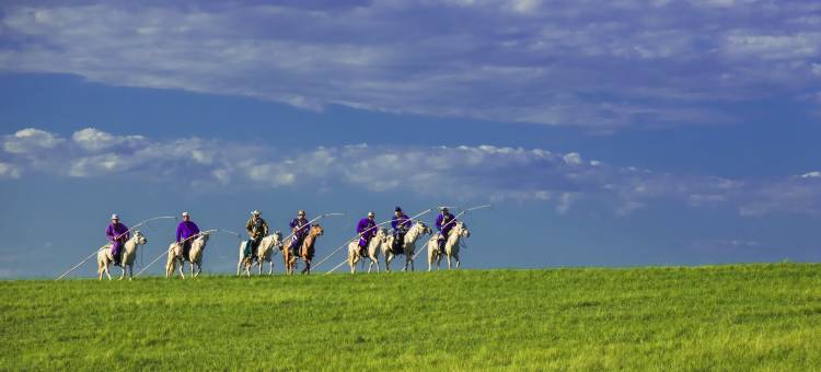 乌兰布统苏木瑞枫山居民宿(赤峰克什克腾旗乌兰布统草原景区店)图片