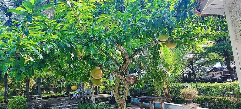 海岛故事海景度假公寓图片