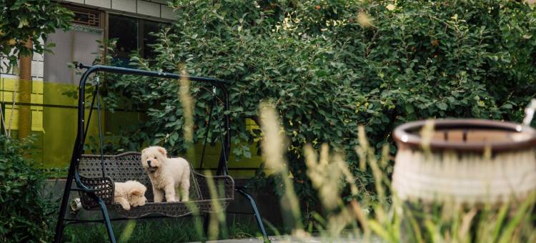 夕落·花间堂民宿图片