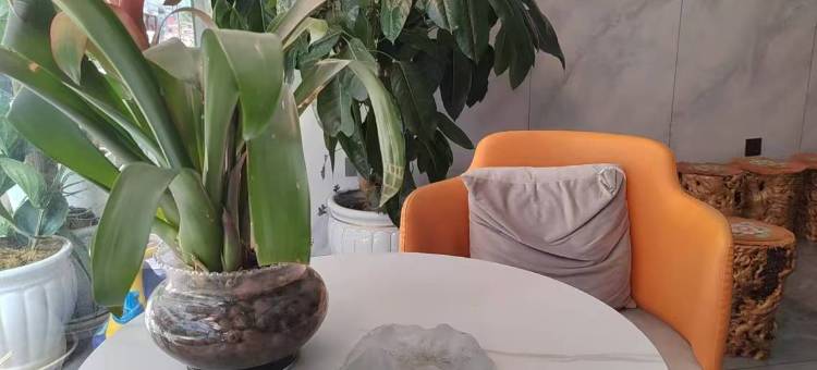 师宗俊峰智慧影视酒店图片