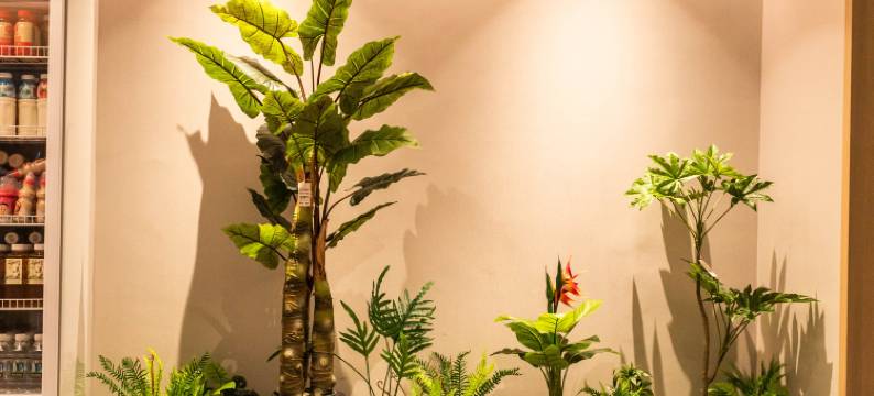 阜阳金泉湾汤泉酒店(闻集镇店)图片