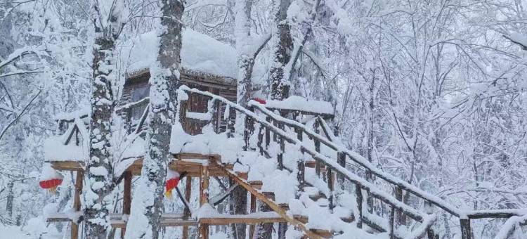 山居日记民宿(亚布力滑雪旅游度假区店)图片