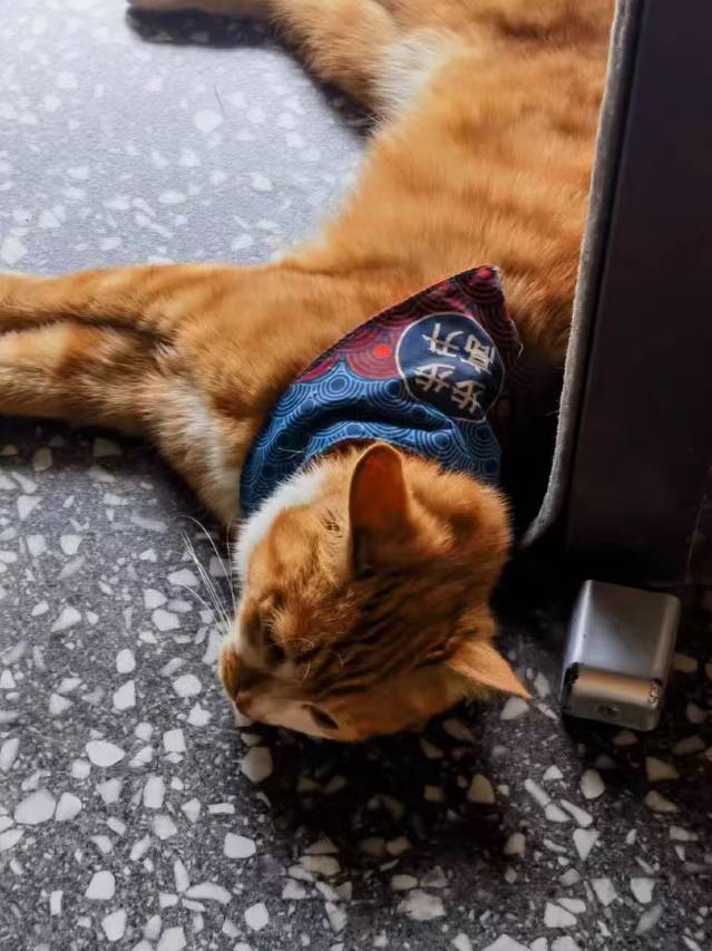 知忻俯私汤民宿(忻州古城店)图片