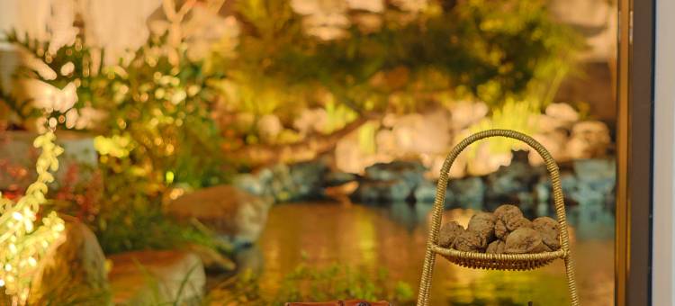 丽江·鳳庐Secretplace禅修|乡愁|疗愈|旅居民宿(拉市海店)图片