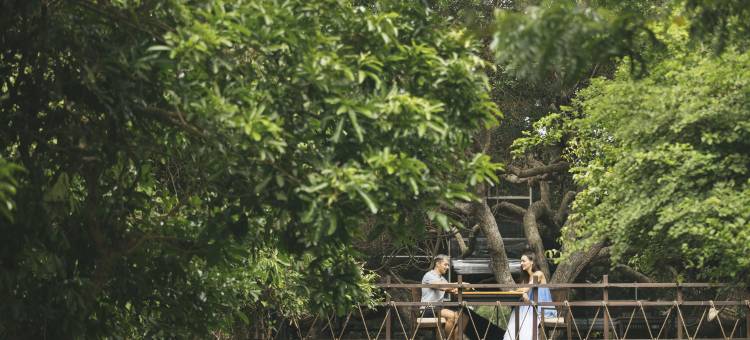 悠阁·林海墅(亭可马里)(Uga Jungle Beach - Trincomalee)图片