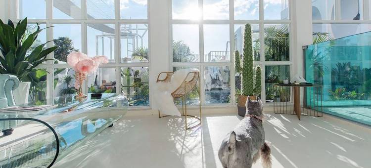 大理绯莫摄影艺术民宿图片