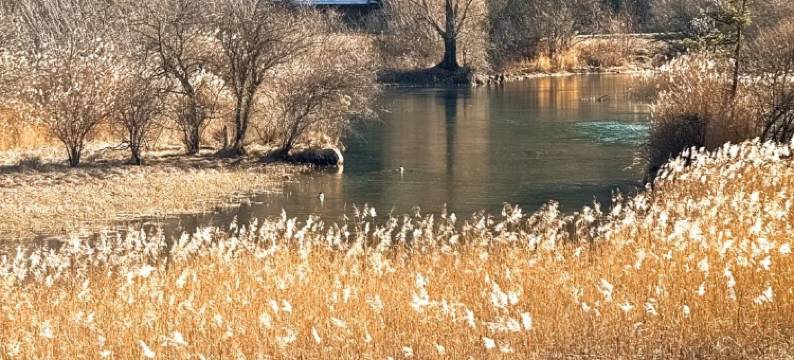 九寨印象·藏韵阁·云上度假美宿图片