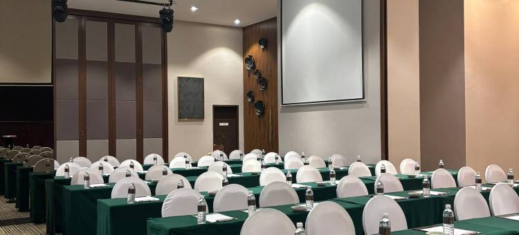 D优雅盛大斯里阿南酒店(D Elegance Grand Bandar Seri Alam)图片