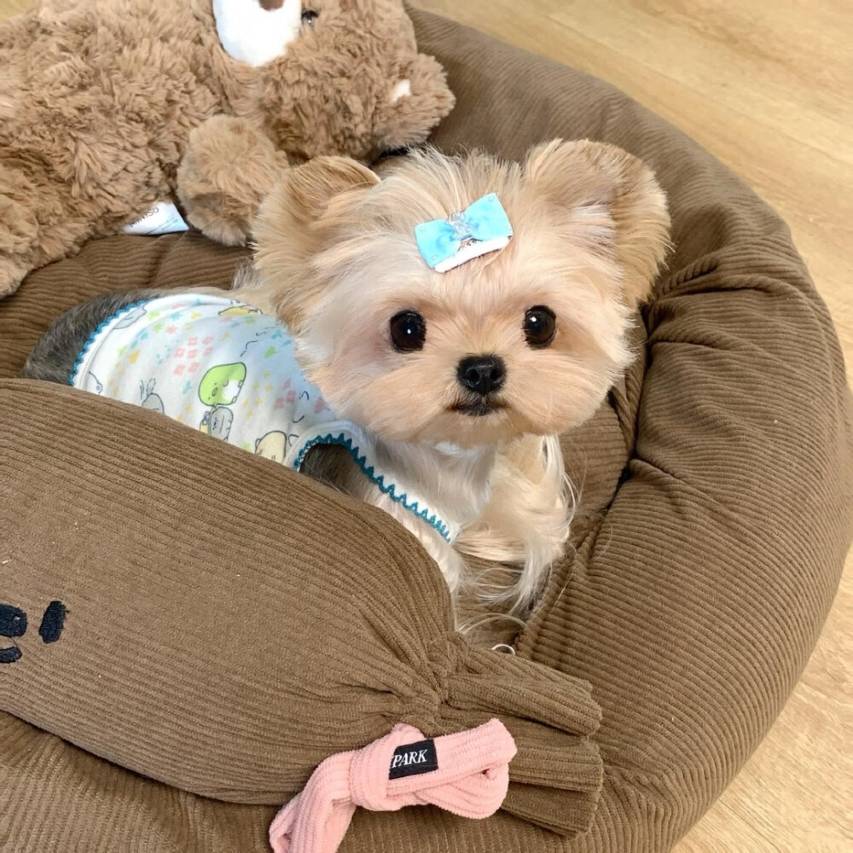 清伴·衡靖美宿(官渡古镇店)图片