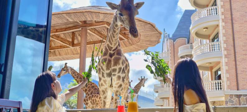 欧乐堡长颈鹿庄园酒店图片