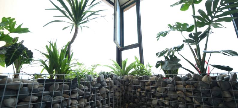 陌上拾光民宿(运城盐湖国际机场店)图片