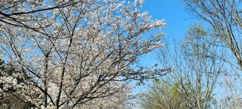 Q加·航宾管家宾馆(银川河东机场店)图片