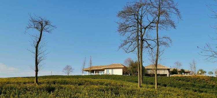 吉住安然︎·设计师度假别院(安吉和乐山谷店)图片
